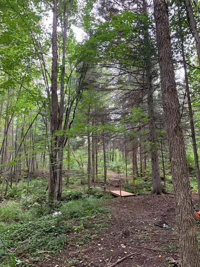 A forested path at Camp Blaze Retreat.
