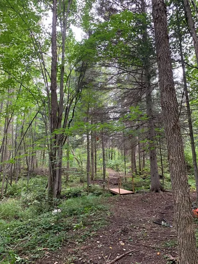 A forested path at Camp Blaze Retreat.